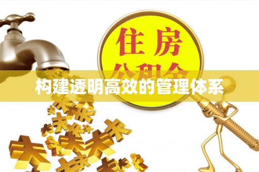灌南构建透明高效的管理体系